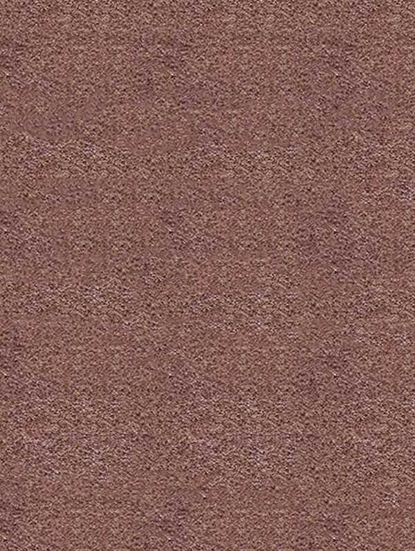 Secret Carpet Roll - Image 4